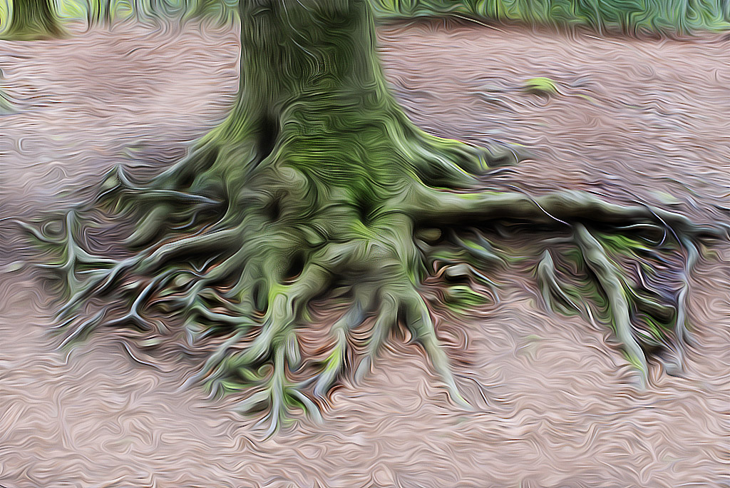 Baum  KA7_7214-1  NR 2-Wiederhergestellt Nr 3.jpg